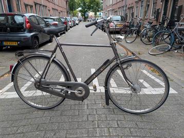 Gazelle Primeur  beschikbaar voor biedingen