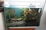 Aquarium Superfish home 60, Dieren en Toebehoren, Vissen | Aquaria en Toebehoren, Ophalen, Zo goed als nieuw, Gevuld zoetwateraquarium