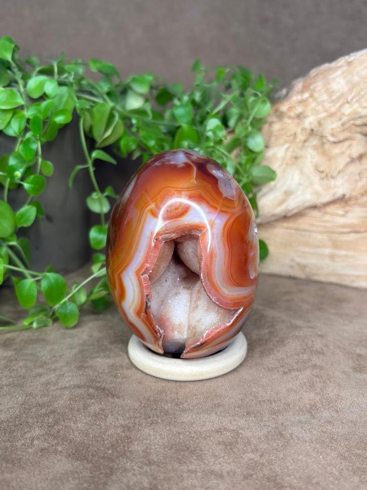 Carneool met agaat ei, Verzamelen, Mineralen en Fossielen, Mineraal, Ophalen of Verzenden