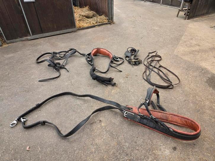 Full mentuig enkelspan bruin onderlegd, Dieren en Toebehoren, Paarden en Pony's | Hoofdstellen en Tuigage, Zo goed als nieuw, Overige soorten