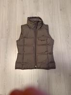 Bodywarmer dames orginele niewe, Adidas, Beige, Nieuw, Ophalen of Verzenden