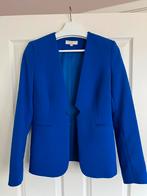 Cobalt blauwe blazer Scapa Sports M, Maat 38/40 (M), Scapa, Blauw, Ophalen of Verzenden