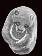 Grote panda beer schaal van Mats Jonasson - 2285 gram!, Ophalen of Verzenden