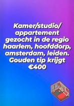 Kamer studio of appartement/huis gezocht., Huizen en Kamers, Kamers te huur, Haarlem