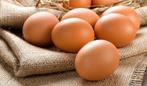 Grote verse bruine eieren, Diversen, Levensmiddelen, Ophalen of Verzenden