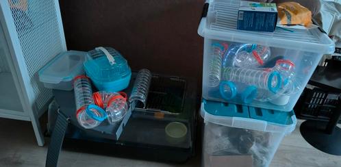 Klein hamsterhok plastic met toebehoren, Dieren en Toebehoren, Knaagdieren en Konijnen | Hokken en Kooien, Zo goed als nieuw, Hok