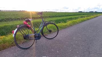 batavus damesfiets zeer stevig en veilig fiets beschikbaar voor biedingen