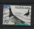 ‹(•¿•)› nl i0953 nvph 1598 vogel brandgans, Verzenden, Na 1940, Gestempeld