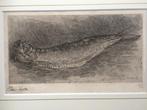 Floris Verster (Ets eerste staat), Antiek en Kunst, Ophalen of Verzenden
