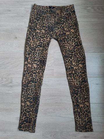 H&M Panter Lange Broek Skinny model Maat 34 XS / 36 S beschikbaar voor biedingen
