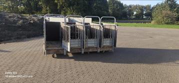 Eenlingboxen voor kalveren beschikbaar voor biedingen