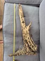 Aquarium inrichting, Ophalen, Zo goed als nieuw, Plant(en), Steen of Hout