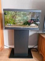 Compleet aquarium, Dieren en Toebehoren, Vissen | Aquaria en Toebehoren, Ophalen, Zo goed als nieuw, Gevuld zoetwateraquarium