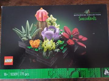 Lego 10309 Botanical Collection Succulents NIEUW beschikbaar voor biedingen