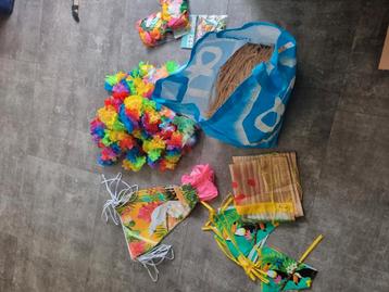 Big shopper met hawaii versiering beschikbaar voor biedingen