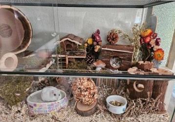 Hamsterhok met alle toebehoren  beschikbaar voor biedingen