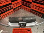 Peugeot 206 ('98-'09) Grille - EYC, Auto-onderdelen, Ophalen of Verzenden, Gebruikt