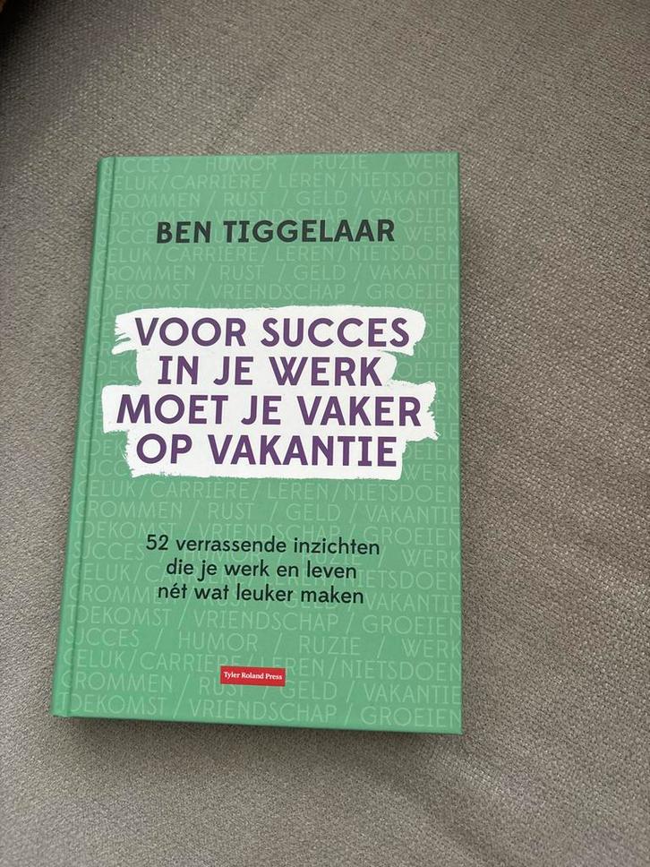 Ben Tiggelaar - Voor Succes in je Werk, Boeken, Psychologie, Zo goed als nieuw, Overige onderwerpen, Ophalen of Verzenden