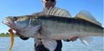 Schroeflood Screw Jighead Pelagic, Ophalen of Verzenden, Nieuw, Dobber of Lood