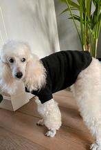 Handmade Trui Hondenkleding Chihuahua pup boomer Pom Naaktho, Dieren en Toebehoren, Hondenkleding, Ophalen of Verzenden, Nieuw