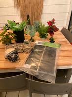 Partij terrarium accesoires en benodigdheden, Ophalen of Verzenden, Zo goed als nieuw, 2 zitplaatsen