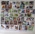 Ongeveer 60 persoonlijke postzegels vogels, Ophalen of Verzenden, Buitenland