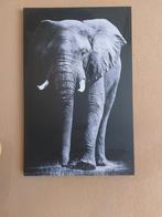 Groot canvas doek olifant 75x115cm, Ophalen of Verzenden