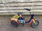 van raam kinder driewielfiets, Fietsen en Brommers, Ophalen of Verzenden, Zo goed als nieuw, Van Raam