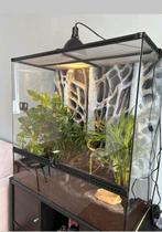 Terrarium exo terra 90x45x90 wimpergekko, Dieren en Toebehoren, Reptielen en Amfibieën | Toebehoren, Ophalen, Zo goed als nieuw