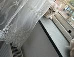 Brits korthaar silver shaded gesteriliseerd en gechipt poes, Dieren en Toebehoren, Katten en Kittens | Raskatten | Korthaar, Poes
