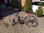 Cube agree GTC racefiets, Fietsen en Brommers, Fietsen | Racefietsen, Carbon, Zo goed als nieuw, Meer dan 20 versnellingen, 53 tot 57 cm