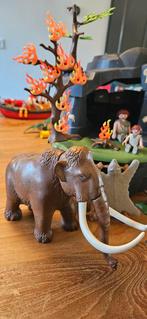 Playmobil Mammoet Grot 5100 Compleet, Kinderen en Baby's, Speelgoed | Playmobil, Ophalen of Verzenden, Zo goed als nieuw, Complete set
