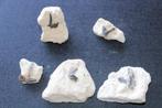 Enchodussen(Matrix) Boven-Krijt, Verzamelen, Mineralen en Fossielen, Ophalen of Verzenden, Fossiel
