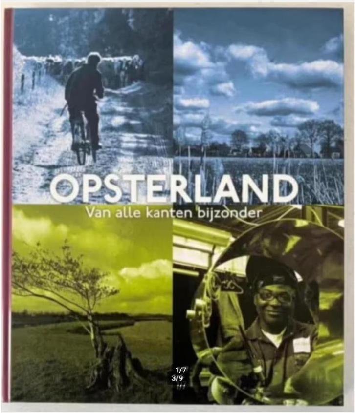 Opsterland van alle kanten bekeken- S. De Boer, Boeken, Geschiedenis | Stad en Regio, Zo goed als nieuw, Ophalen of Verzenden