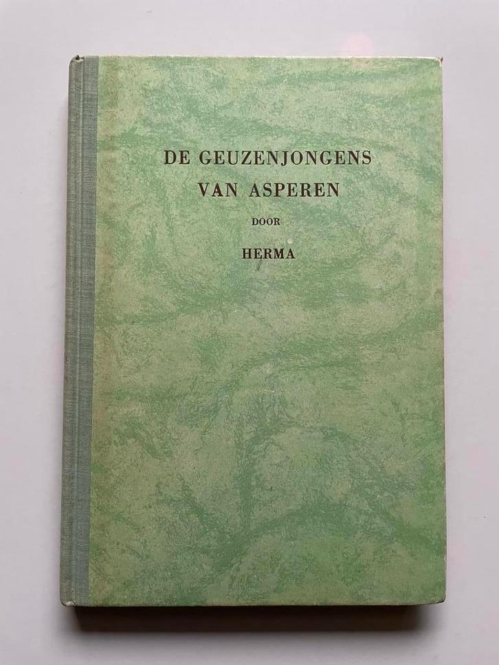 De geuzenjongens van Asperen - Herma, Boeken, Kinderboeken | Jeugd | 13 jaar en ouder, Gelezen, Fictie, Ophalen of Verzenden