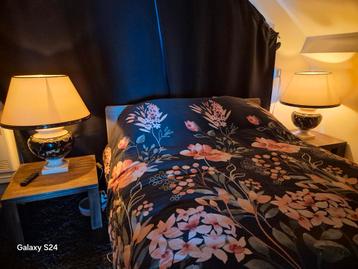 2 Paolo Marioni Lampen beschikbaar voor biedingen