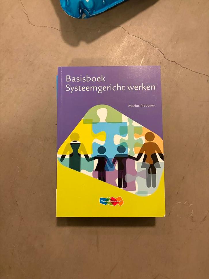 Basisboek Systeemgericht werken - Marius Nabuurs, Boeken, Studieboeken en Cursussen, Zo goed als nieuw, HBO, Ophalen