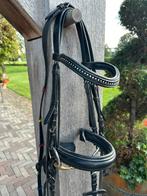 Hoofdstel voor een kleine B/C pony, Dieren en Toebehoren, Paarden en Pony's | Hoofdstellen en Tuigage, Ophalen of Verzenden, Zo goed als nieuw