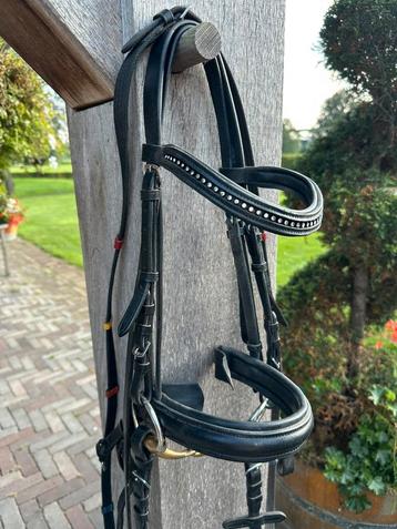 Hoofdstel voor een kleine B/C pony beschikbaar voor biedingen