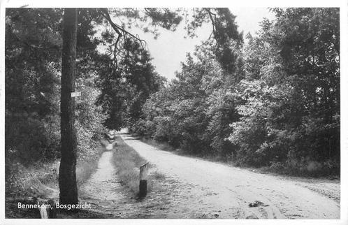 (387-265-043) Bennekom Bosgezicht, Verzamelen, Ansichtkaarten | Nederland, Gelderland, Verzenden