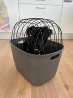 Trixie bike basket for dogs, never used, Dieren en Toebehoren, Ophalen, Nieuw