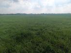 Gras op stam, Ophalen