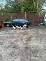 Indische loopeenden, Dieren en Toebehoren, Pluimvee, Meerdere dieren, Eend