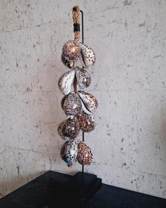 Bruine tijgerschelpen ketting op voet vakkenkast chique, Huis en Inrichting, Woonaccessoires | Overige, Nieuw, Ophalen of Verzenden