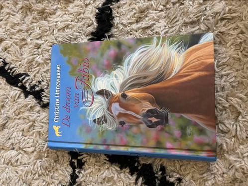 Christine Linneweever - De droom van Fabio, Boeken, Kinderboeken | Jeugd | 10 tot 12 jaar, Zo goed als nieuw, Ophalen of Verzenden