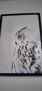 Posters desenio, Ophalen, Deurposter of groter, Dier of Natuur, Rechthoekig Staand