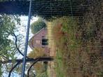Urbex maatje gezocht