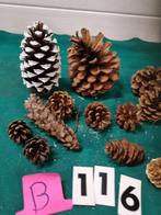 dennenappels 18 stuks klein en groot [b115], Diversen, Kerst, Ophalen of Verzenden