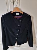 Purdey Sey Studio Blazer fluweel maat 38, Kleding | Dames, Ophalen of Verzenden, Zo goed als nieuw, Maat 38/40 (M), Zwart