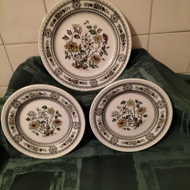 Dorset Wood & Sons Burslem 13 gebak stel en los bord gerond, Huis en Inrichting, Keuken | Servies, Nieuw, Bord(en), Overige stijlen